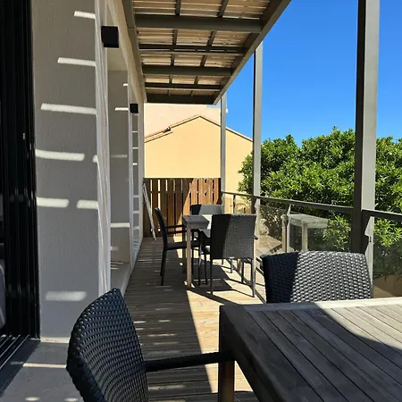 Mimosas * Le Lavandou