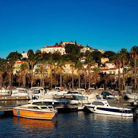 Mimosas * Le Lavandou